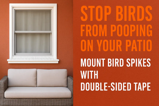 stop birds from pooping on your patio mount bird spikes with double sided carpet tile tape