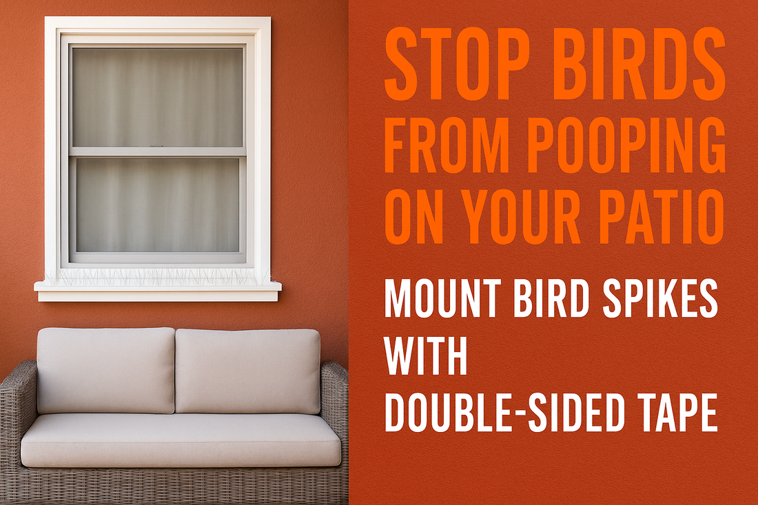 stop birds from pooping on your patio mount bird spikes with double sided carpet tile tape
